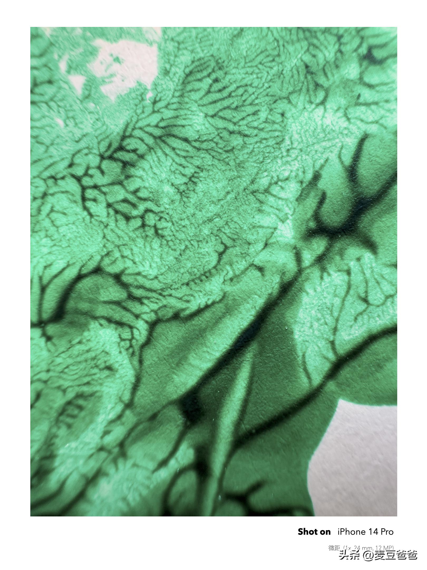 如何利用苹果14手机拍高清图片,iphone14如何拍出好看照片