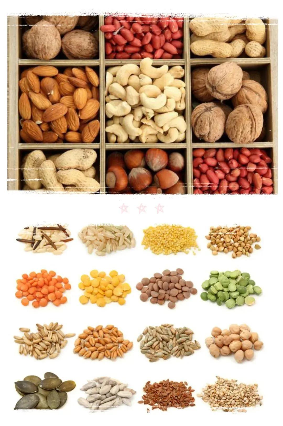 仓鼠食物挑食怎么办,仓鼠吃不下饭吃什么食物