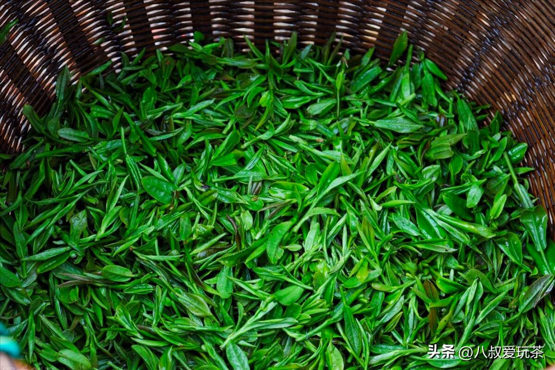 茶叶有哪些值得买的顶尖品牌,茶叶什么品牌性价比高又好