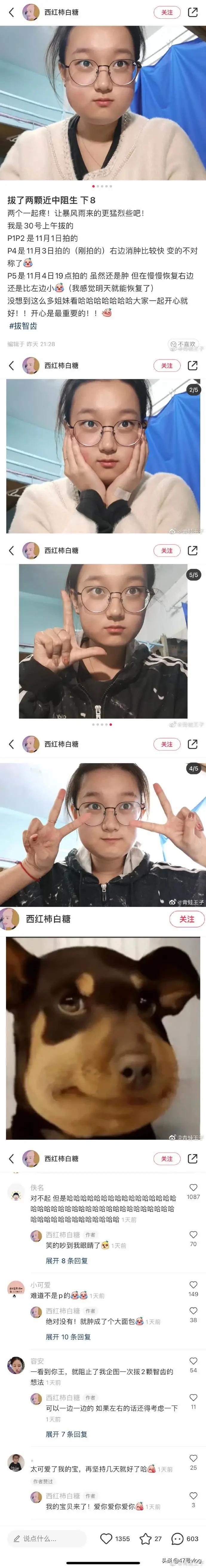 松鼠储备粮被偷冻的发抖,松鼠藏的储备粮被偷后续