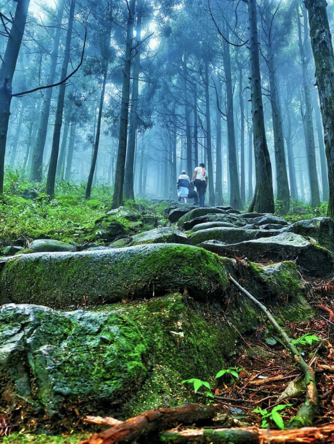 自在桂平,自在宜州