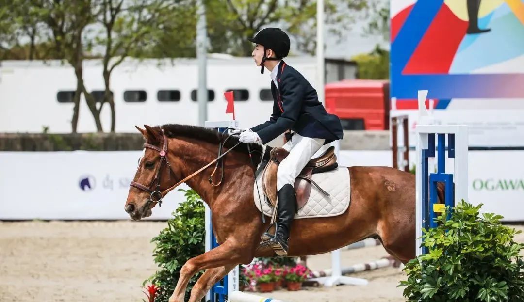 上海莱克斯顿国际高中,莱克顿上海学校怎么样