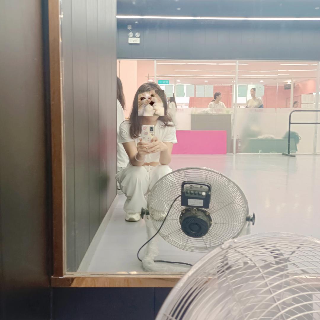 西安夏日行动,西安夏日出行