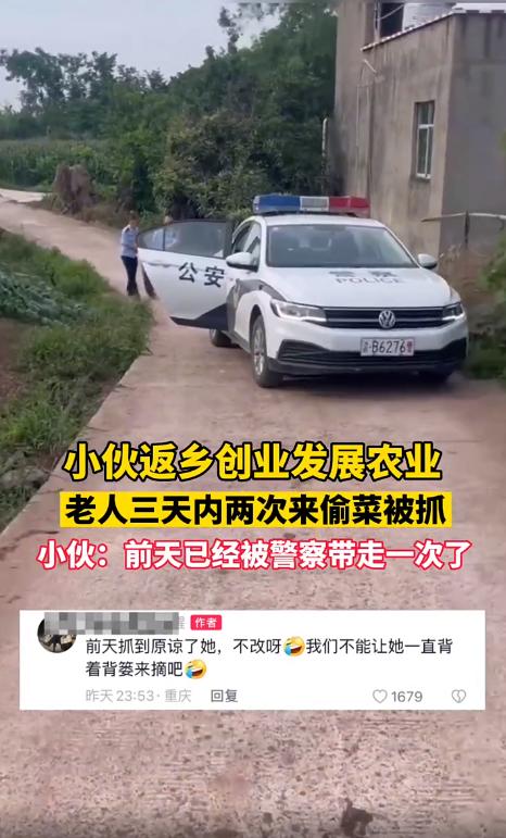 返乡创业老人偷菜后续,农村小伙回乡创业租用田地种植