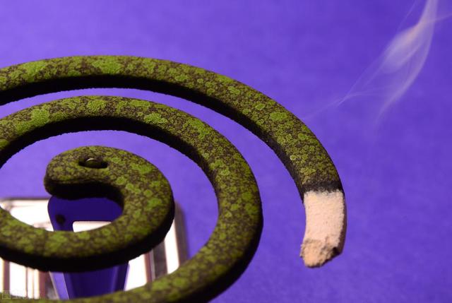 夏天家里蚊子怎么消灭最快方法,家里蚊子多一个小妙招就能解决