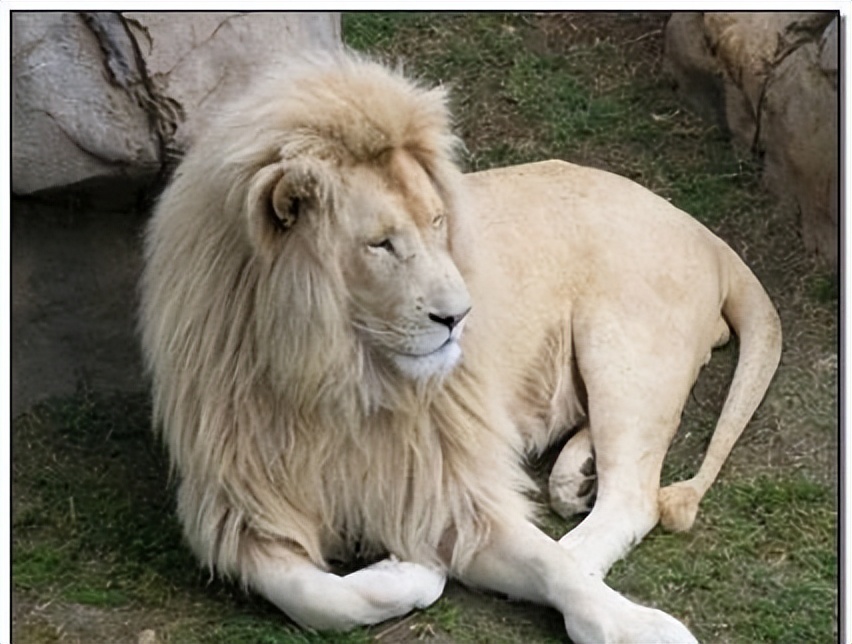 c罗十大让人不可思议时刻,c罗十大无解时刻