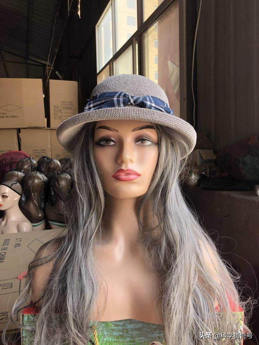 大量荷兰女孩来我国上海，表面上是来旅游，实际上是为了做代购