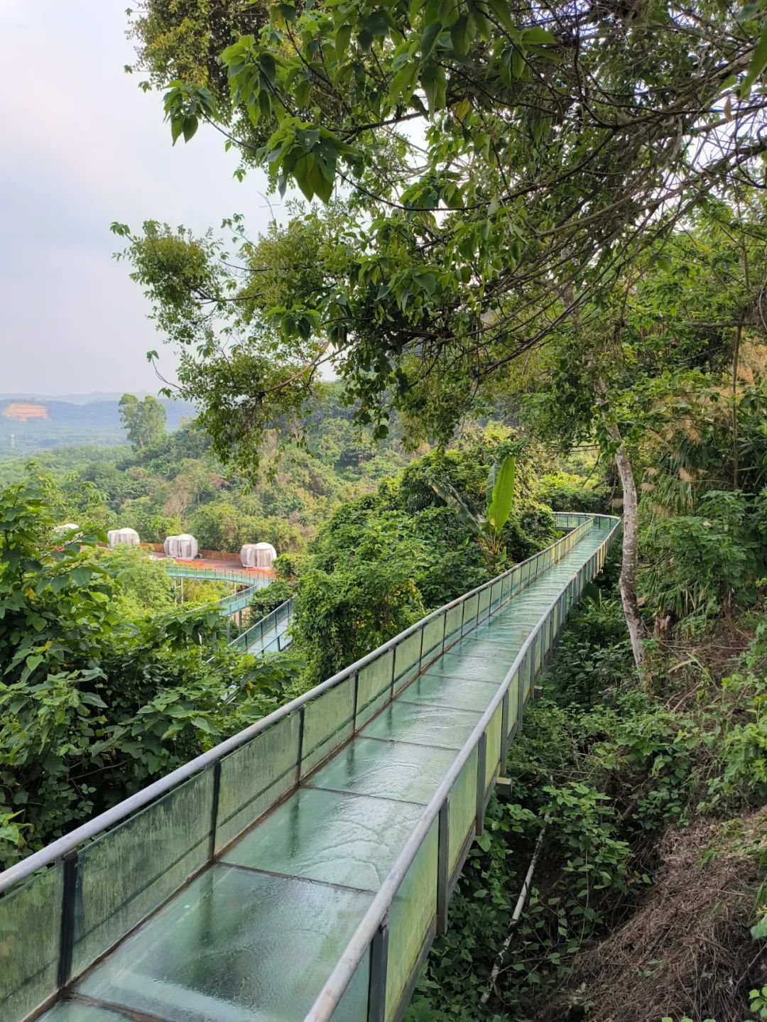 儋州莲花山景区,海南儋州莲花山文化景区美篇专栏