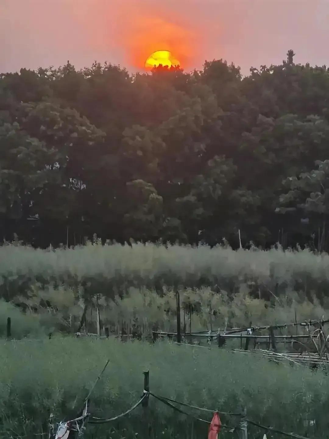 创业计划书格式word,创业计划书格式排版