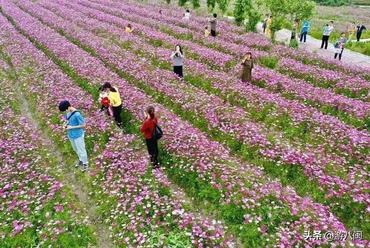 世界最大的梯田,世界梯田之最
