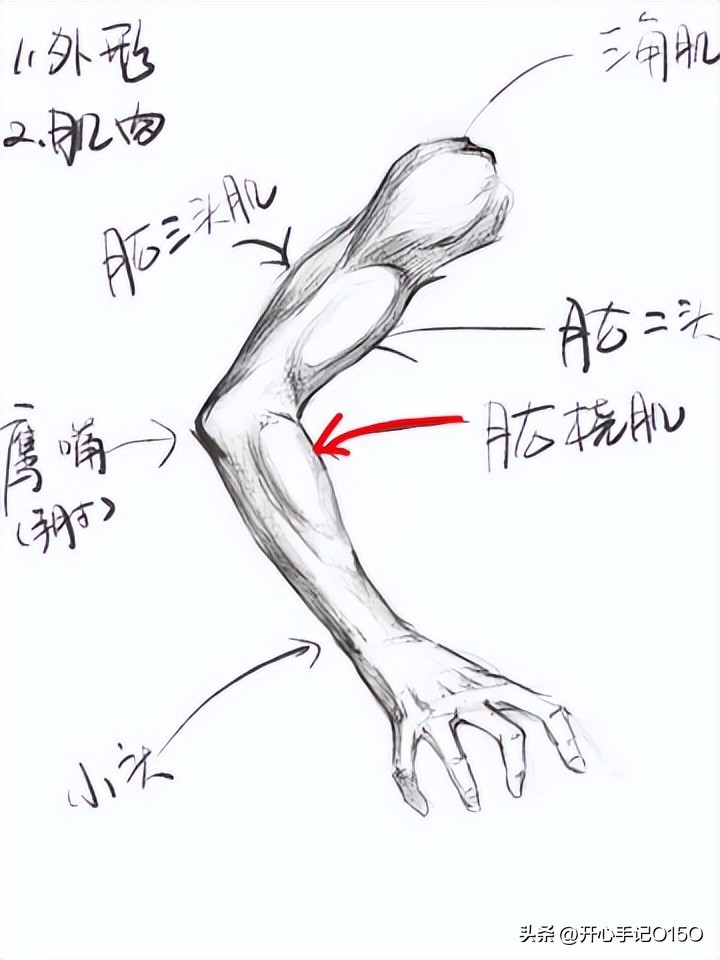 肖战把鞋带系成了死结？粉丝看肖战细节满满，这个窝窝大有说道