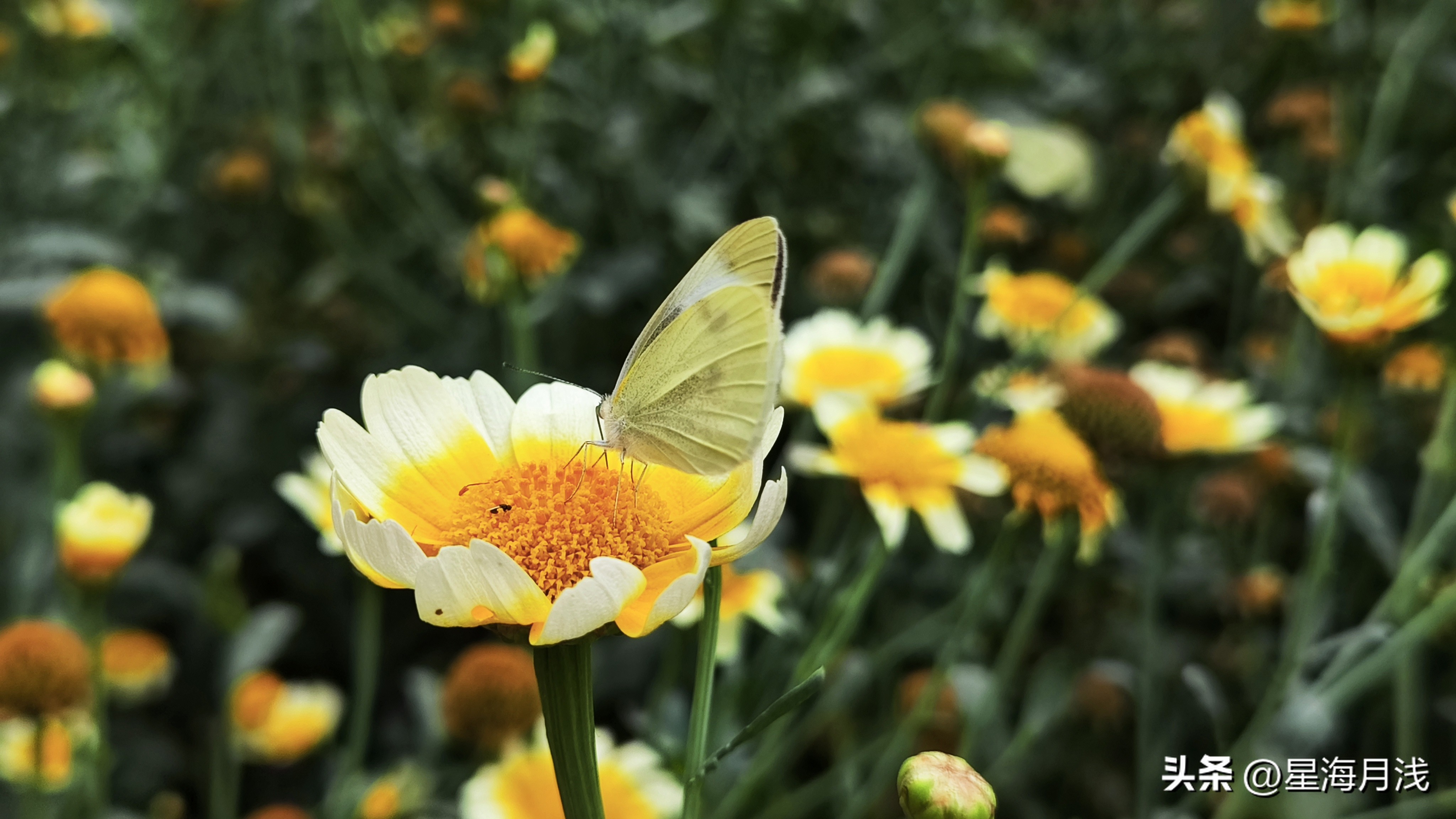 带你玩遍广州所有的儿童公园,广州免费公园遛娃好去处