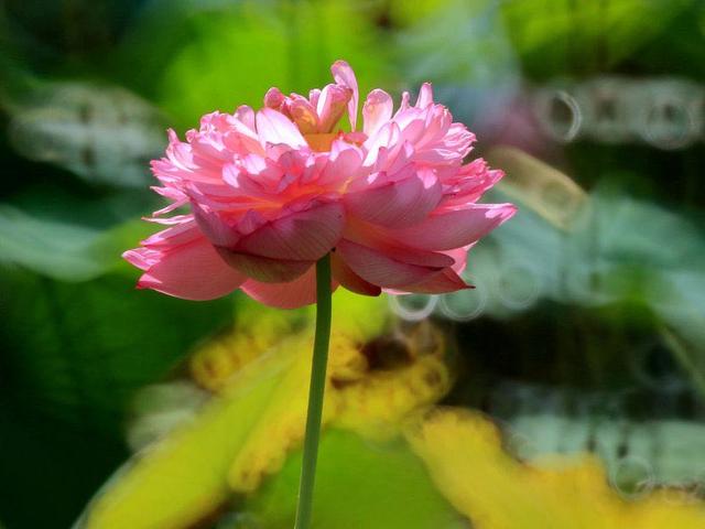 与人交往最怕遇到小人,远离不懂人情往来的人