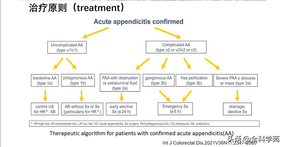 阑尾炎的讲解,关于阑尾炎的讨论总结