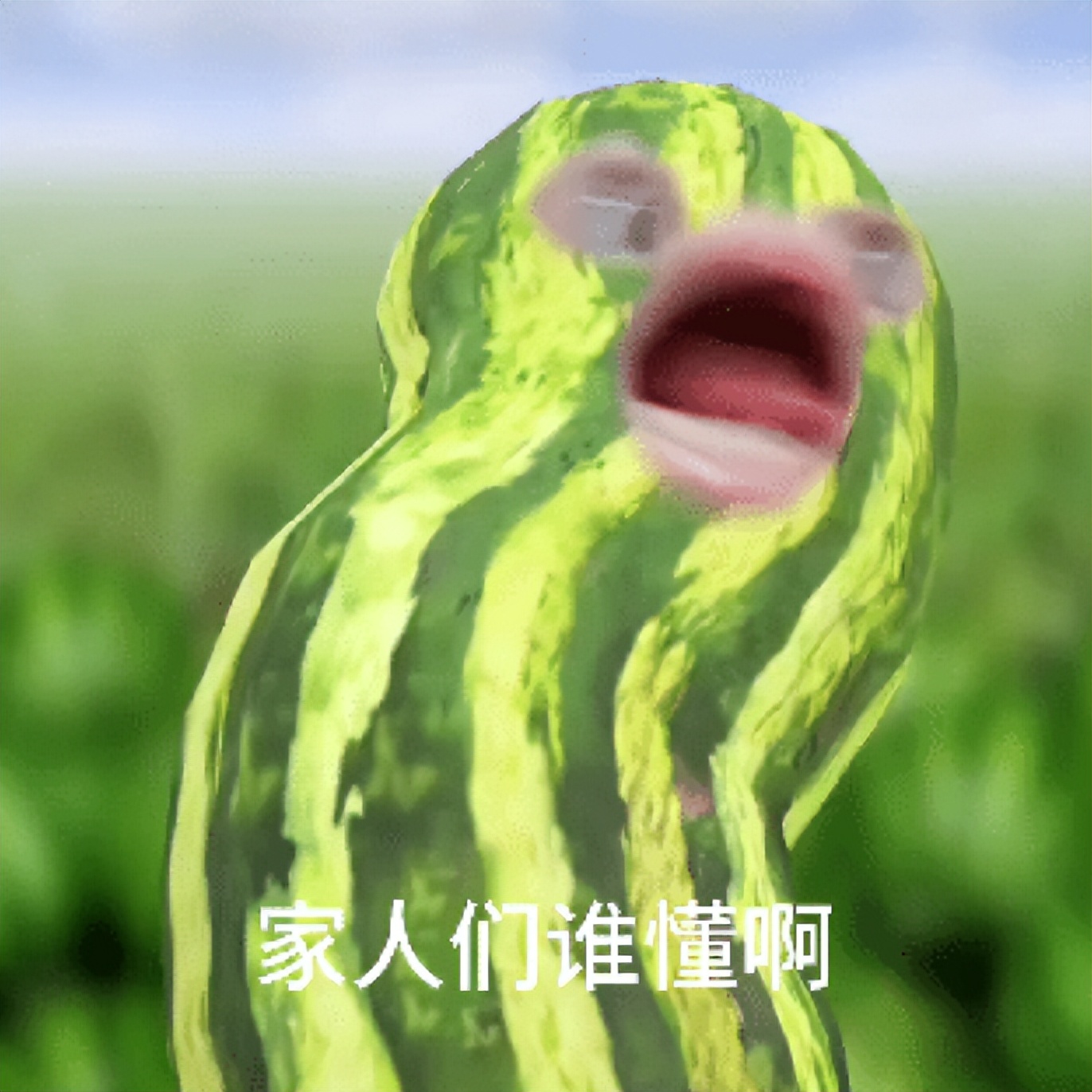 微信文件传输助手的用法,微信文件传输助手功能