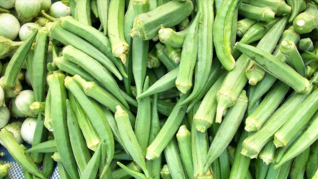 女性多吃这6种食物既美容又养生,女人不舍得花钱吃饭怎么办