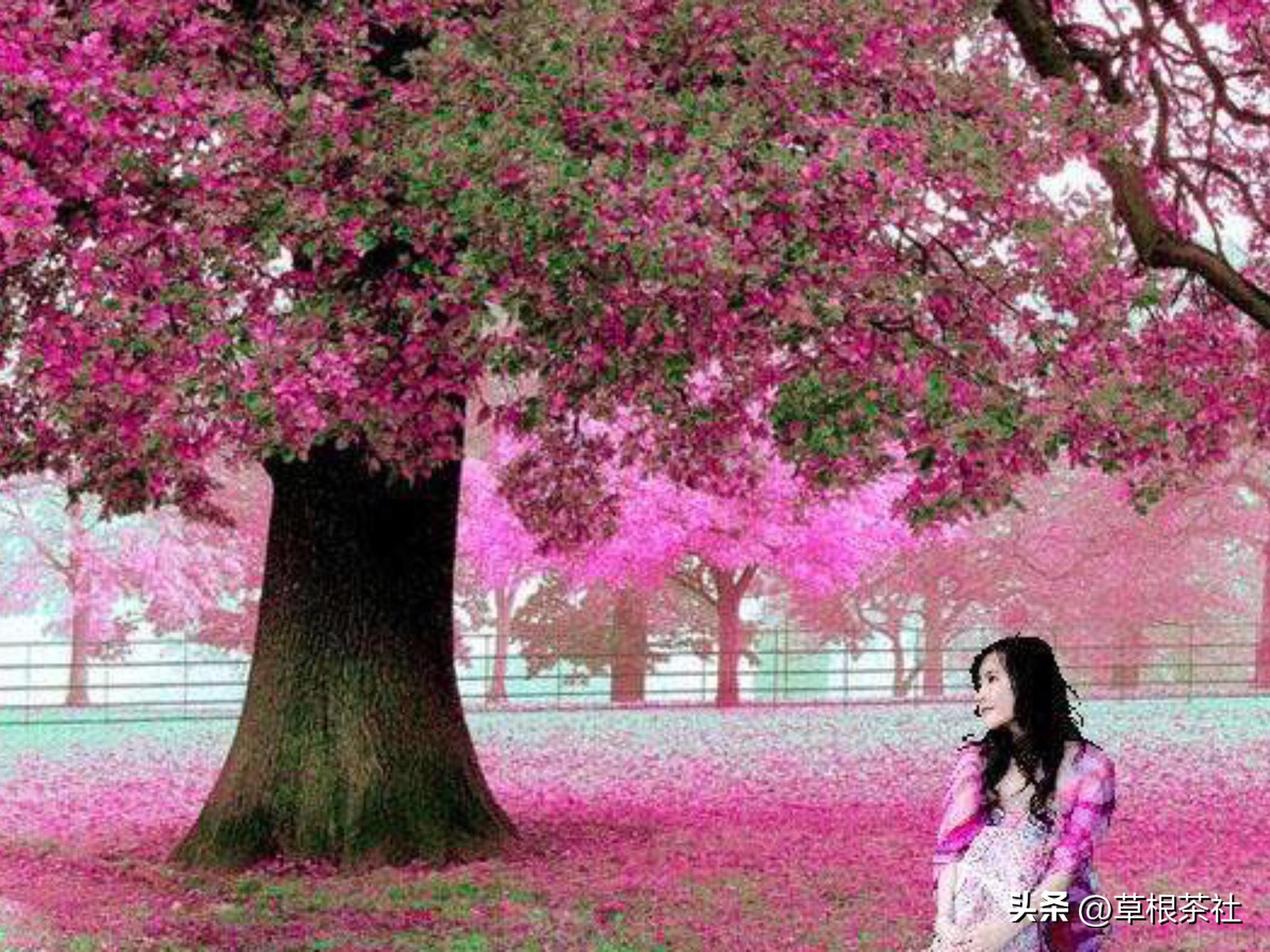 知青往事：每当想起小山村里的那位小学老师，她心里就隐隐作痛