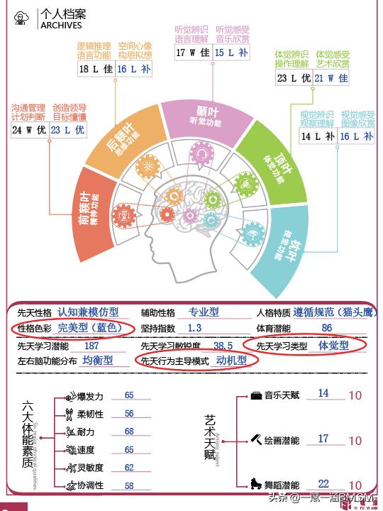 【一赋一涵BMSM天赋测评】性格色彩特点深度解析