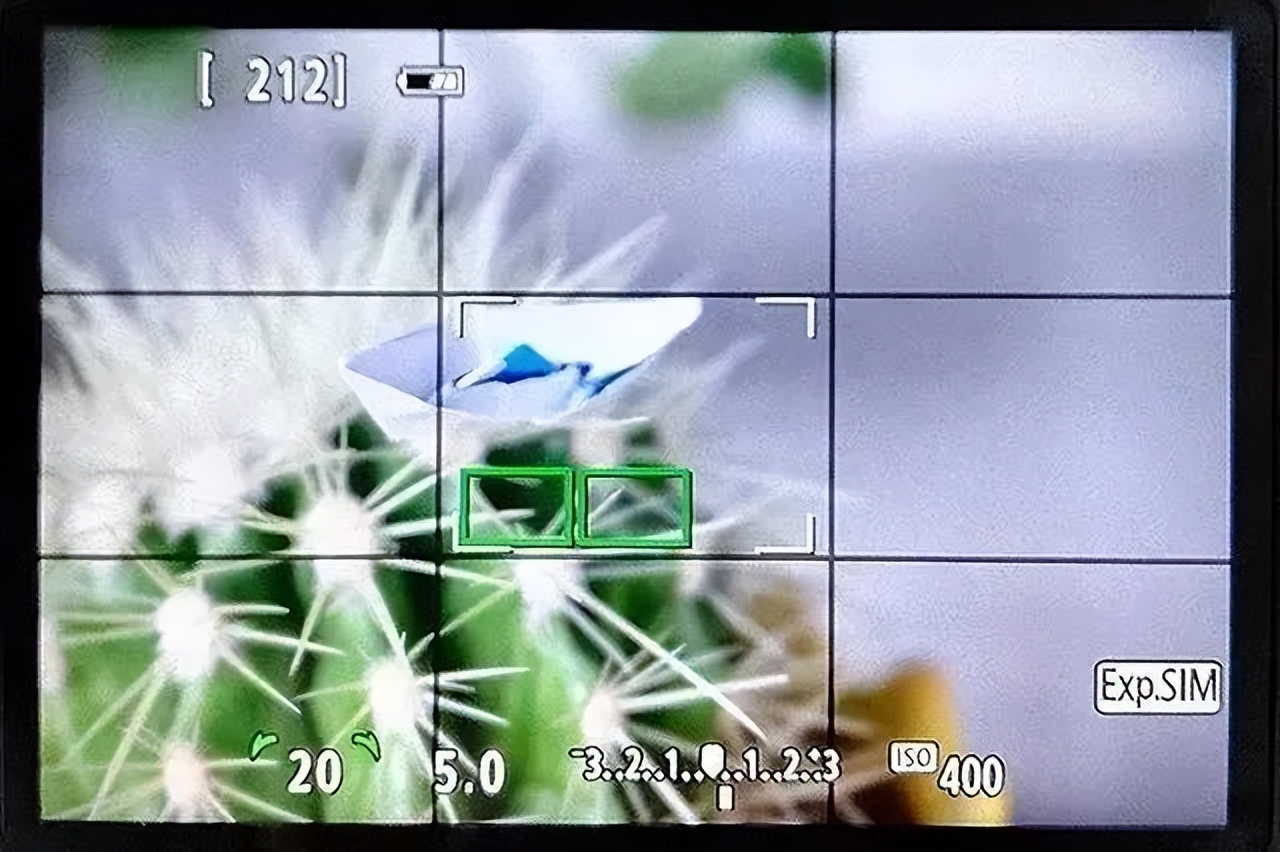 微距微观世界摄影作品,微距拍摄最佳作品