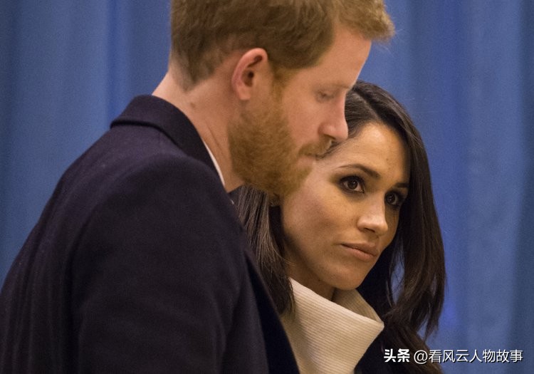 凯特与哈里相处,凯特和哈里的矛盾