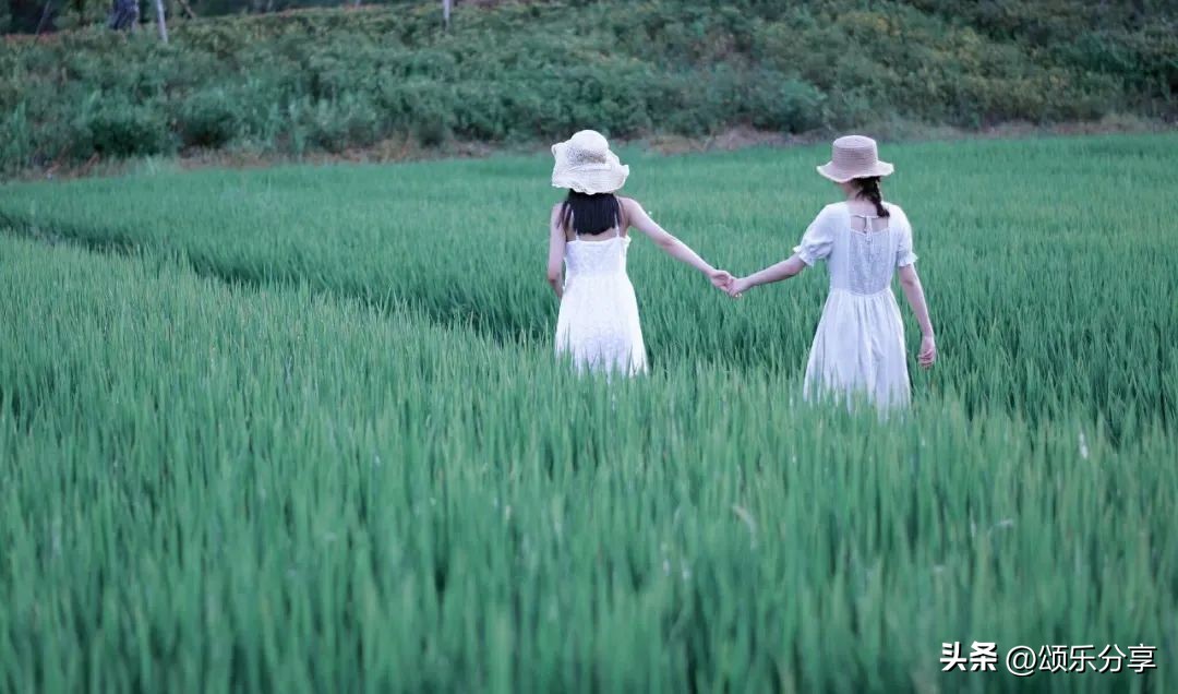 忍一时之气免百日之忧免费阅读,忍一时之气免百日之忧什么意思