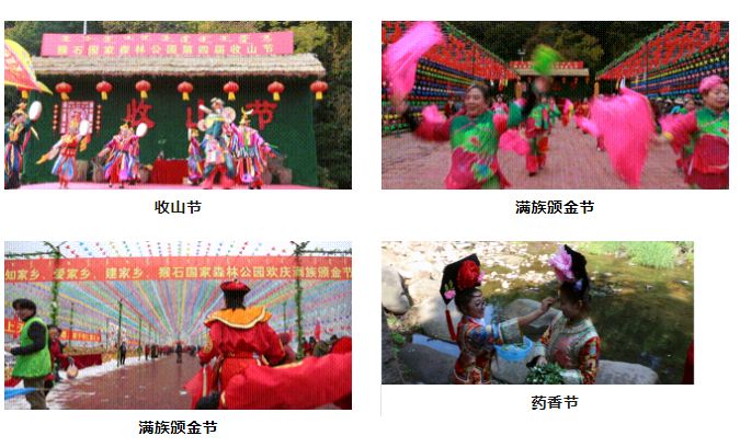 猴石森林公园攻略,猴石国家森林公园发展