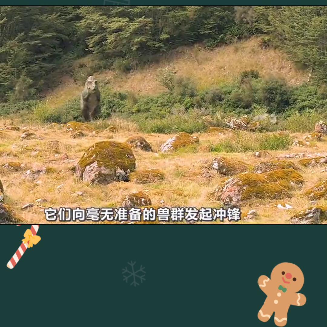 科普知识,科普知识大全短视频