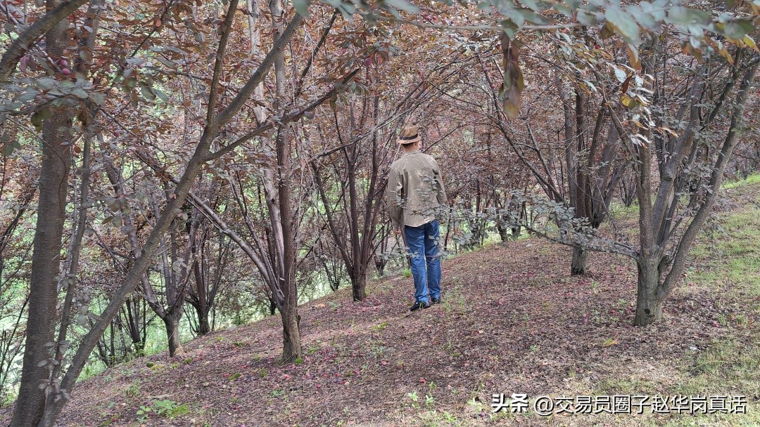 我的交易之道,我的交易模式和思路