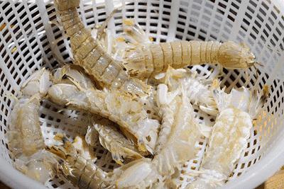 2022秦皇岛最强海鲜日历来了，年头吃到年尾不重样~