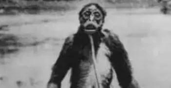 老猫猴真实存在吗,老猫猴的真实样子