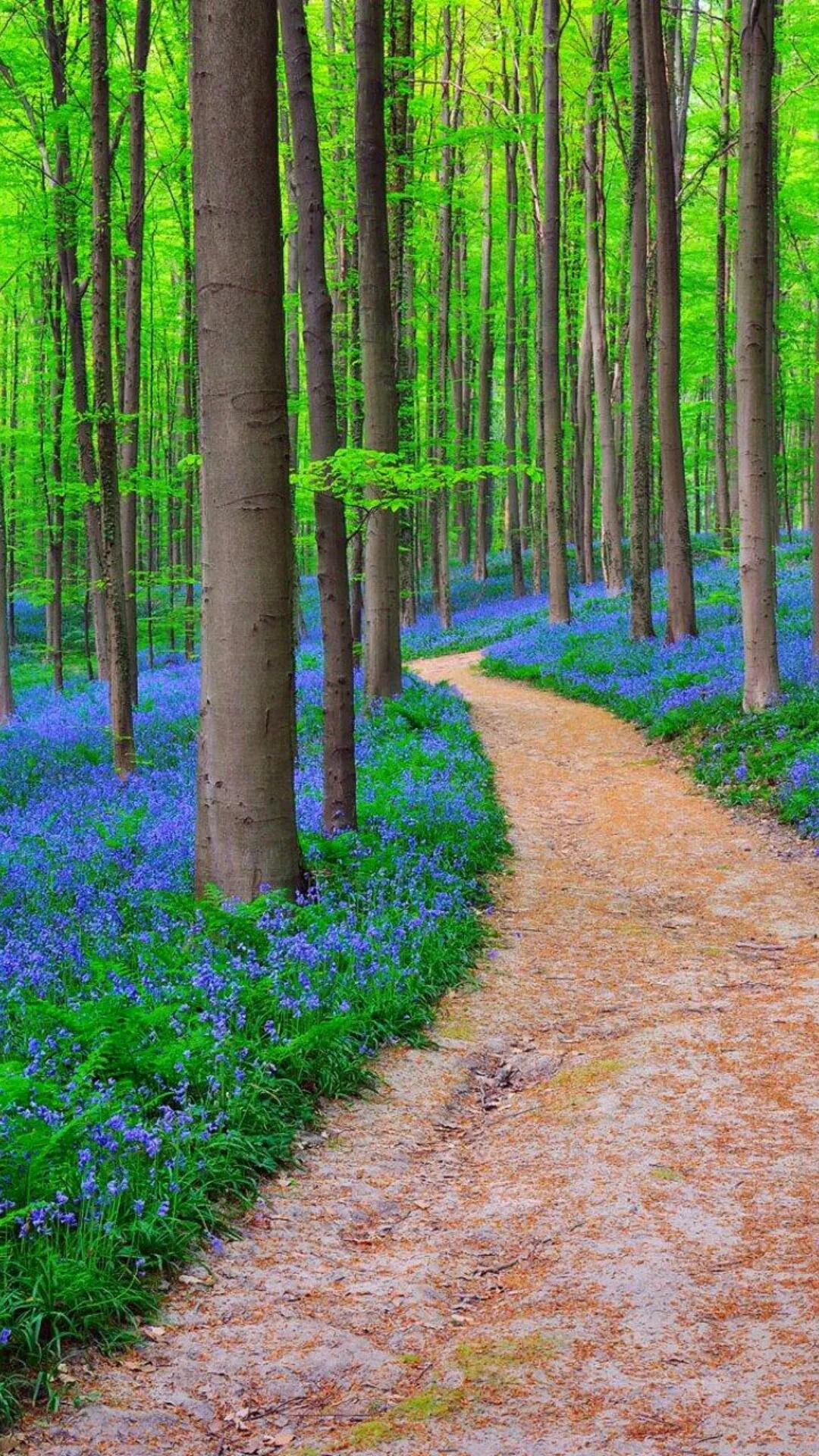 姹熷崡鐑熼洦姘翠埂椋庢櫙,娆ｈ祻缇庝附姘翠埂椋庢櫙