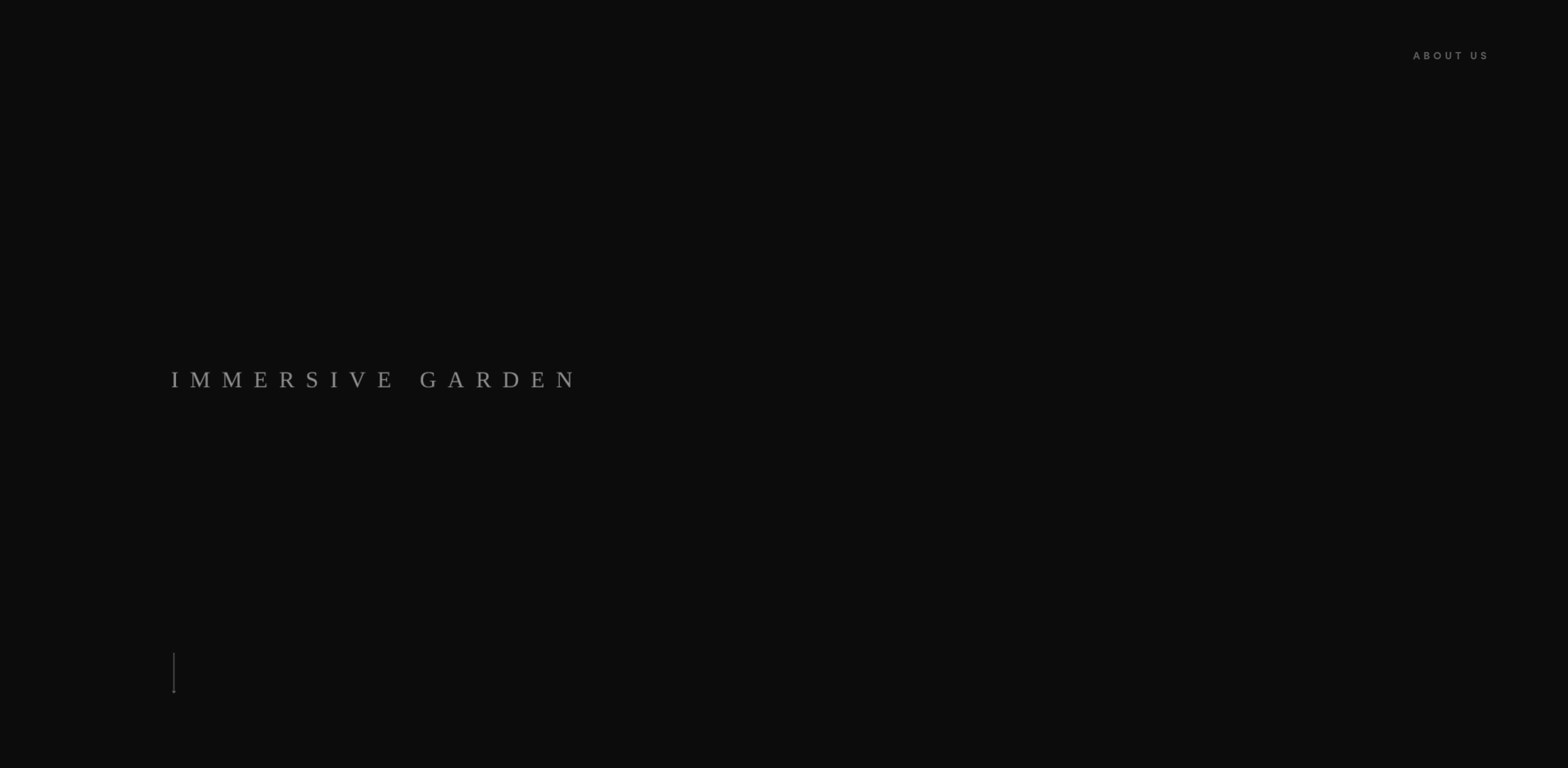 合肥网站建设公司,乐清网站建设公司