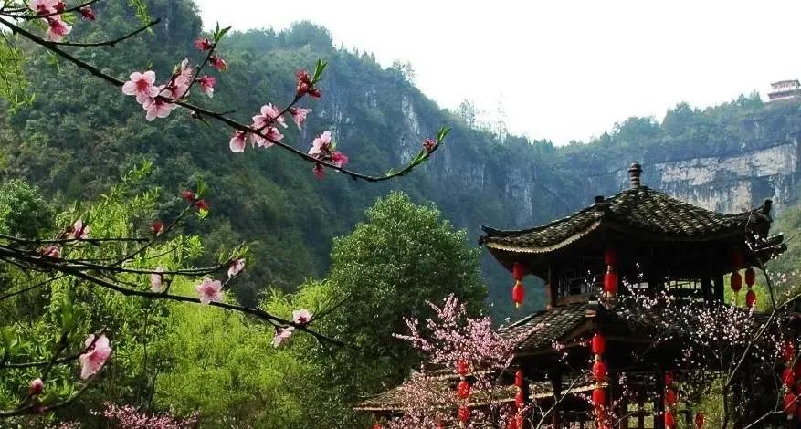 诗经桃夭的意思,诗经桃夭的意思是什么