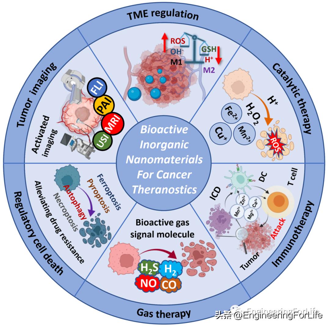 纳米材料抗肿瘤药物怎么用,新型纳米材料治疗肿瘤