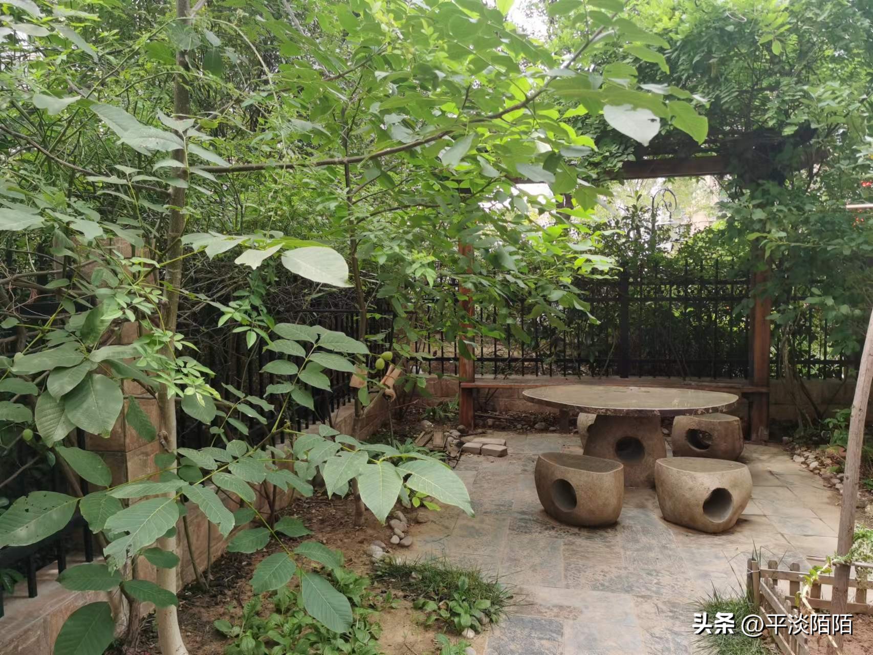 盆栽果树的病虫害治理,自家果园病虫害防治