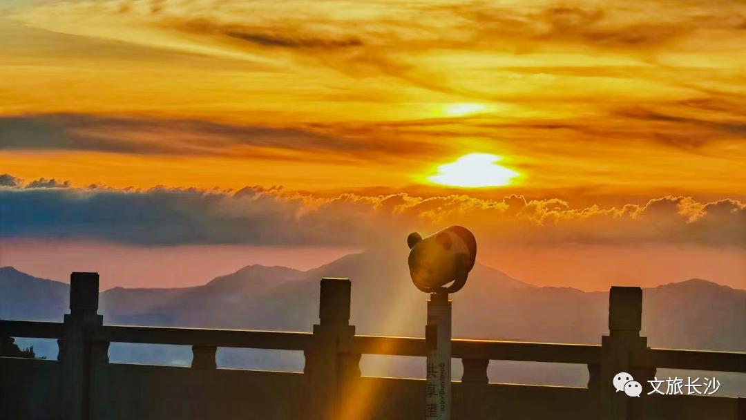 解锁夏日好去处赶紧来打卡吧长沙,长沙这个夏天叫你来打卡