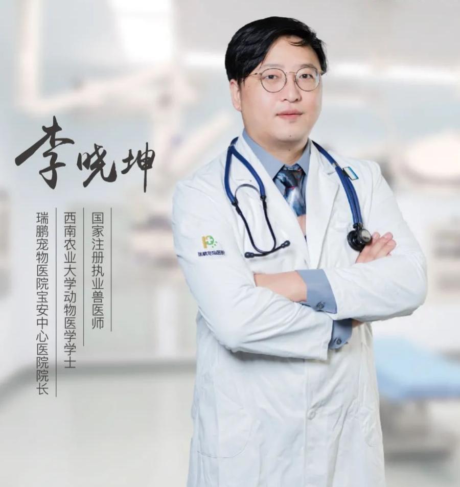 狗狗颈椎椎间盘突出导致前肢瘫痪,狗狗颈椎骨质增生压迫神经怎么办