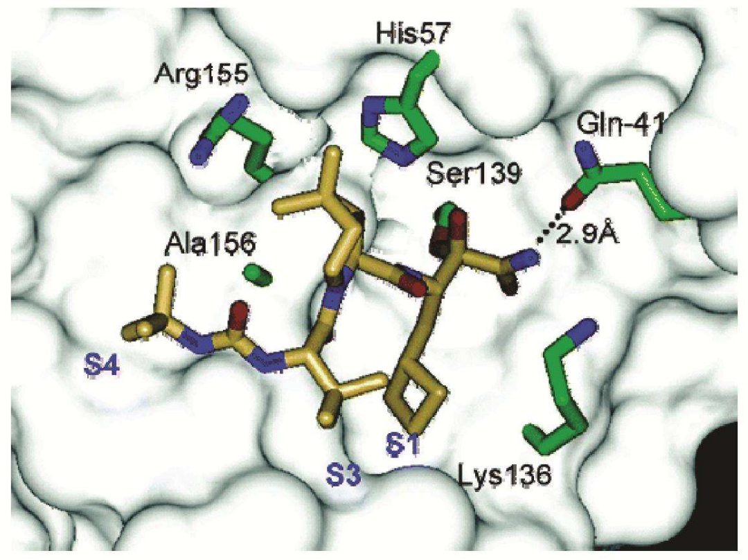 五毒之一的蜈蚣为什么怕公鸡,公鸡为什么能打败蜈蚣