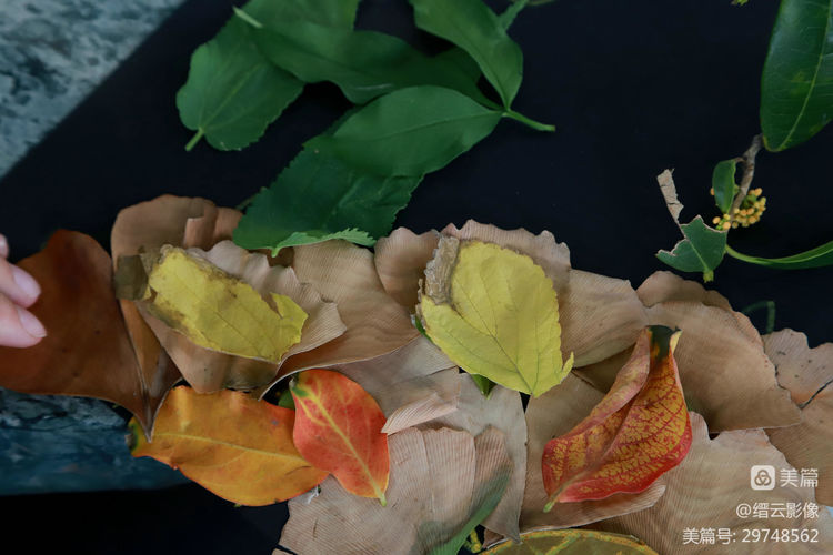 重庆市兼善中学90周年回放,重庆市兼善中学2002