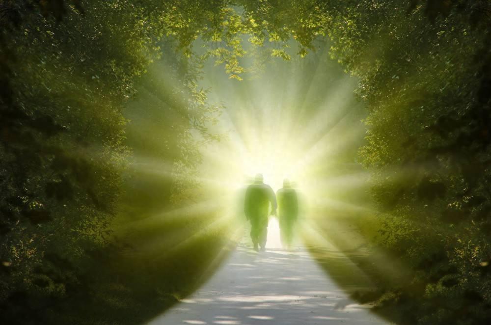 人体里有僵尸基因吗,人死后僵尸因子异常活跃