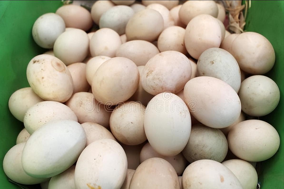 腌咸鸭蛋熬水,腌咸鸭蛋盐水需要怎么烧盐化的快