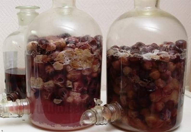 自酿葡萄酒的危害四年,自酿葡萄酒引发的惨剧