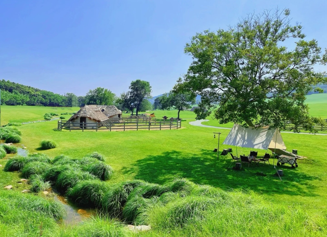 涓夊鐗у満娓歌鎰熷彈,娓哥帺涓夊鐗у満鎰熷彈