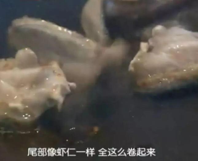 比酸菜牛肉面更恶心的东西,老坛酸菜到底有多恶心