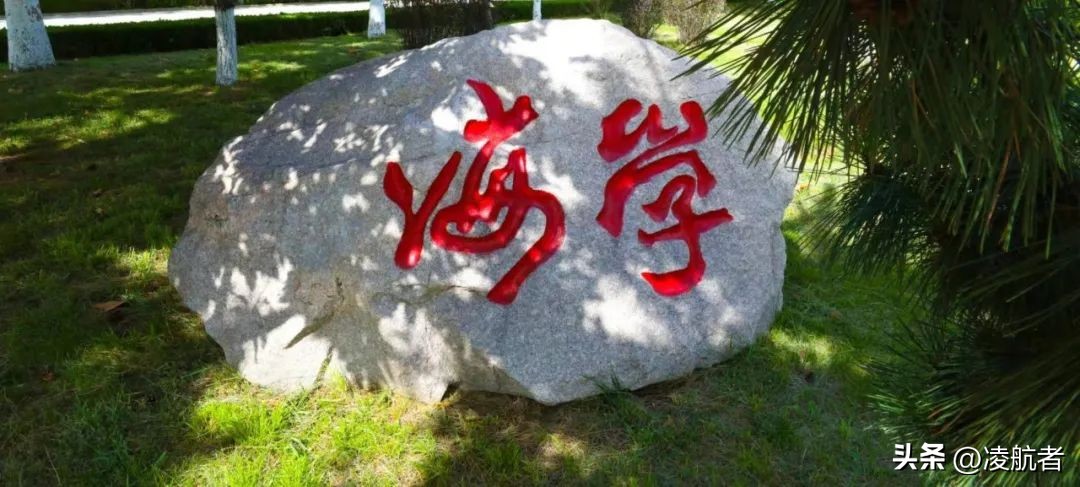 致萌新的学长学姐寄语,致学长学姐的一封信