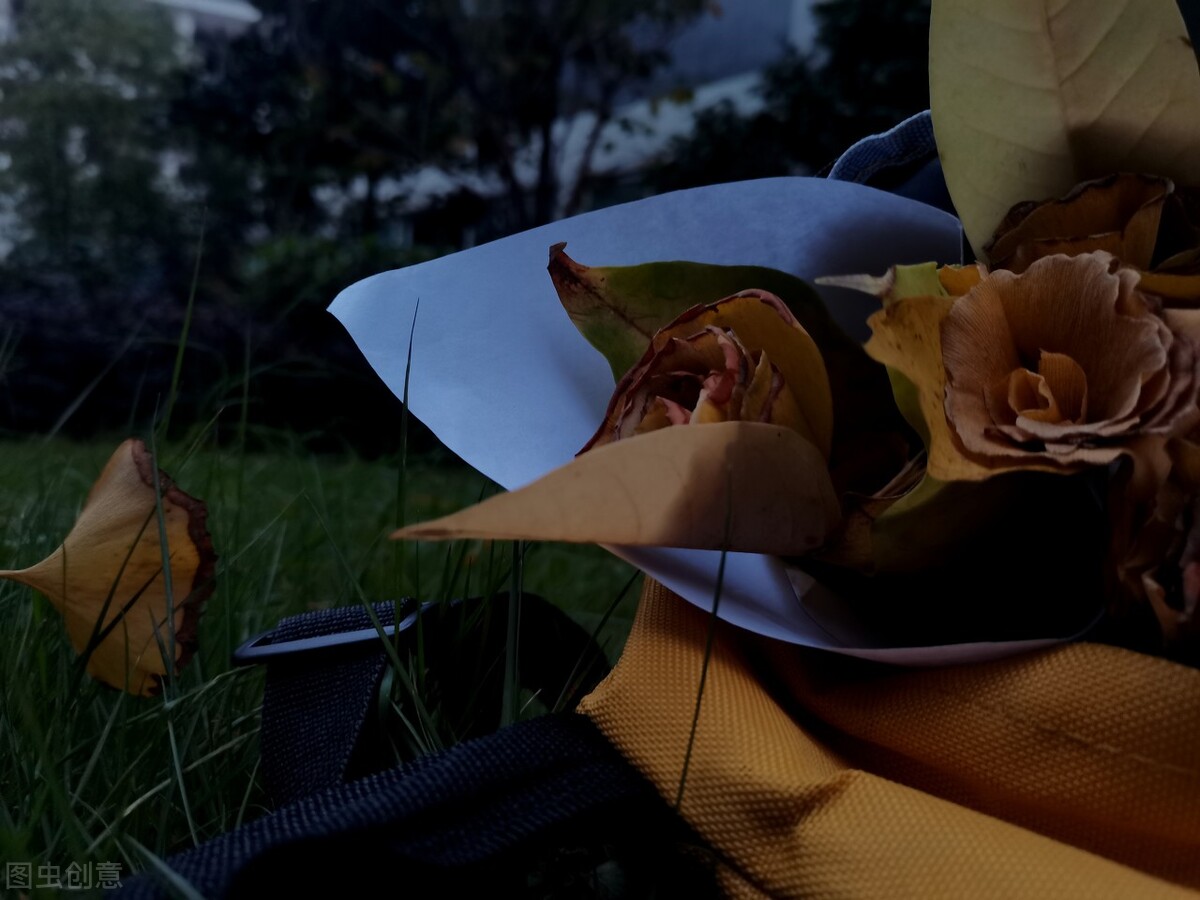 那些失去后才懂得珍惜的文案,拥有时不珍惜失去了才后悔的文案