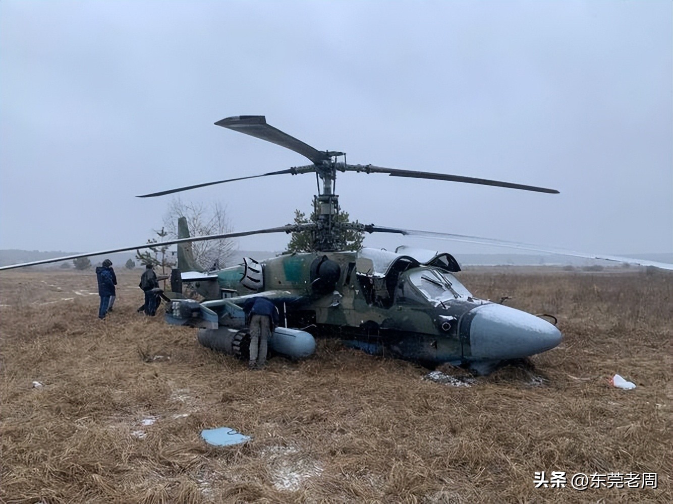 俄卡52重型武直,中国引进卡52武装直升机多少架