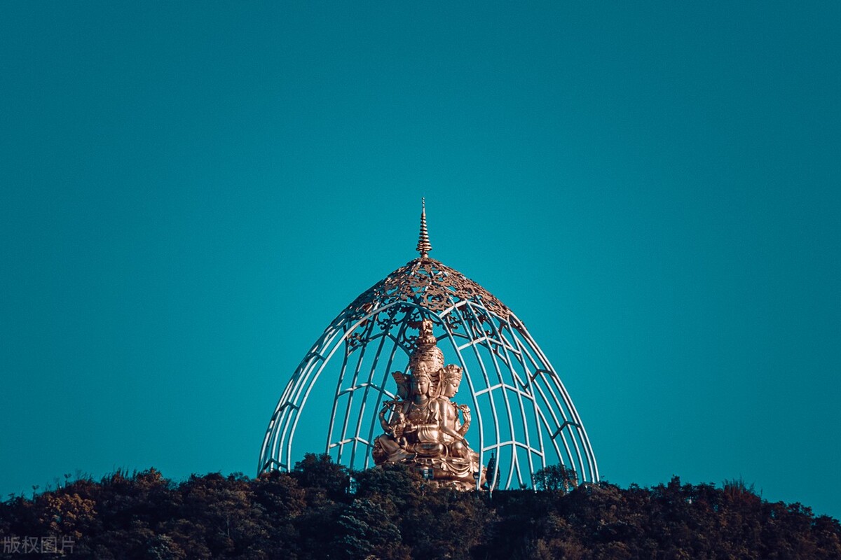 为什么佛说每个人都具足佛性，脑科学能给我们提供答案吗？