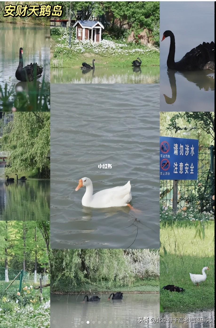 瀹夊窘璐㈢粡澶у瀹夎储瀛﹂櫌,瀹夊窘瀹夎储瀛︽牎