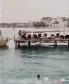 俄罗斯男子在海边被鲨鱼咬死,俄罗斯男子被鲨鱼咬死鲨鱼被捕